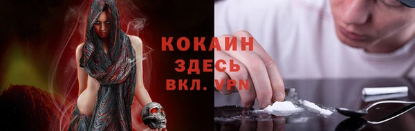 прущий лед Алзамай