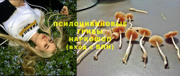 ECSTASY Алексеевка